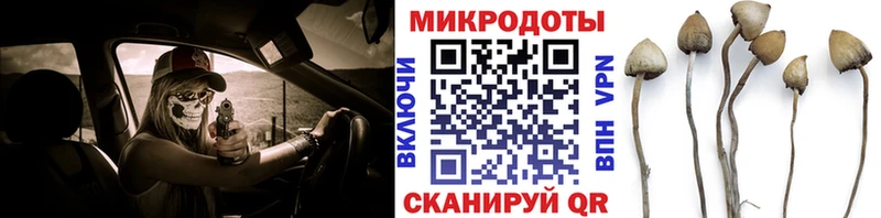 Псилоцибиновые грибы Cubensis  Покровск 